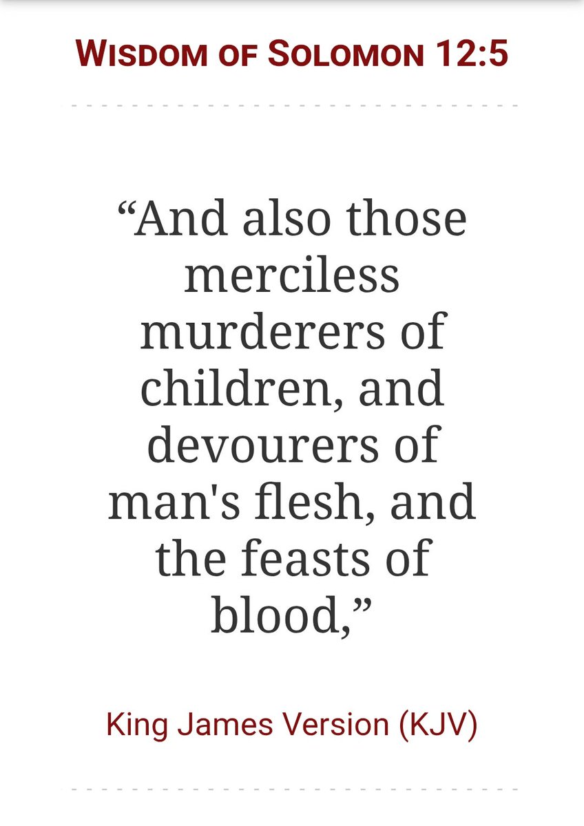 TestDummy tweet media