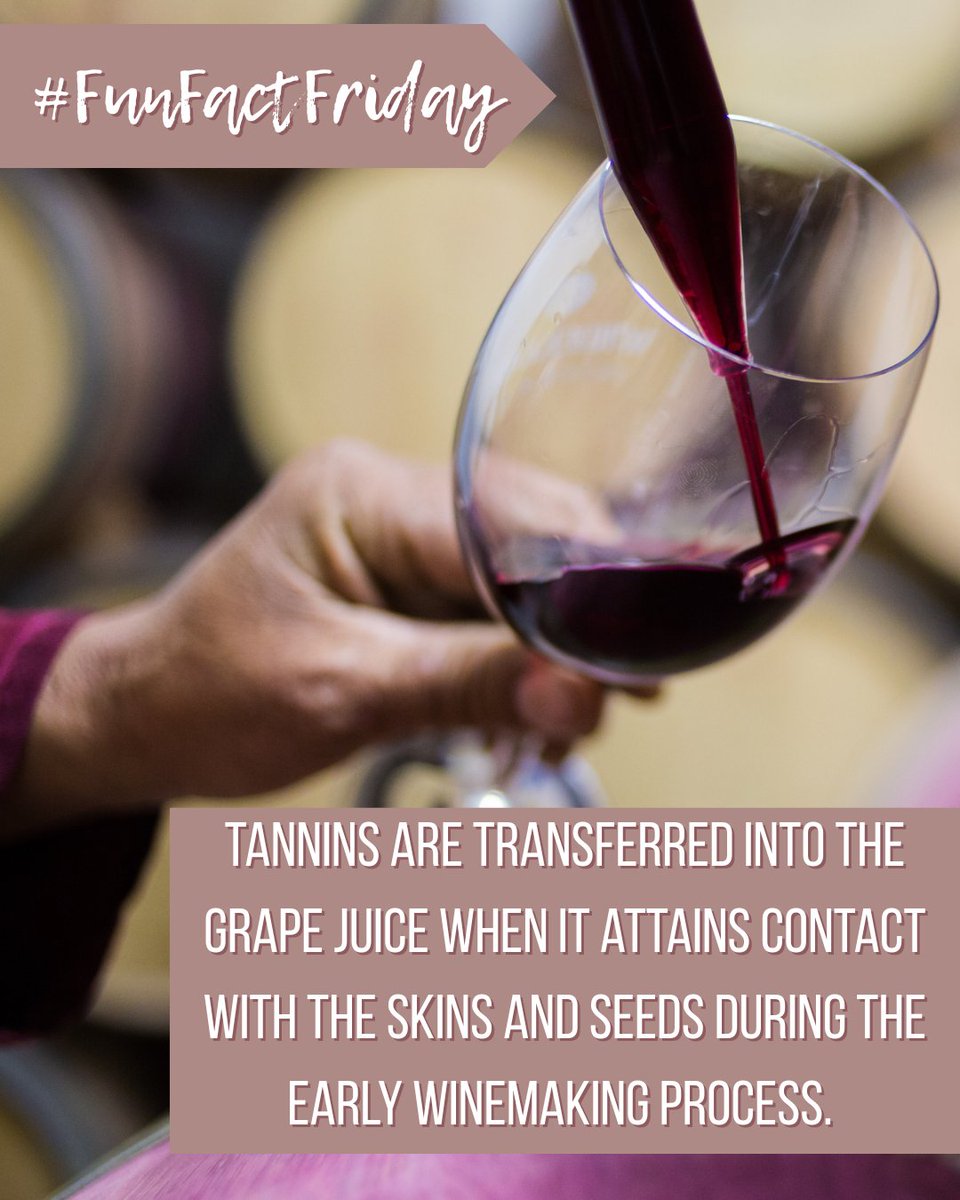 It's #FunFactFriday and Commissioner Sid Miller has one for you!

Did you know that tannins are what give red wine its bitter and astringent feel when consumed? The tannins are transferred into the juice when it has contact with the skins and seeds of the grape!
