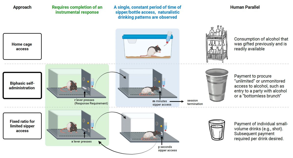 Alcohol Research tweet media