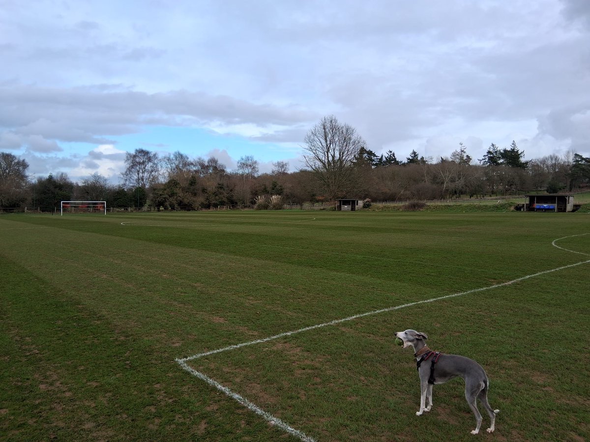 Matt Kiley tweet media