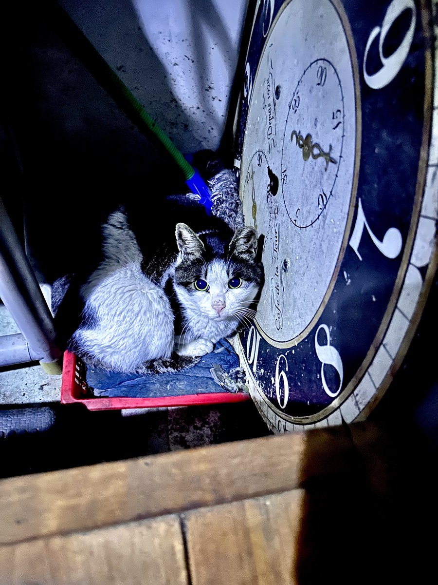 넌 어뜨케 그르케 한결같이 예쁘세요???