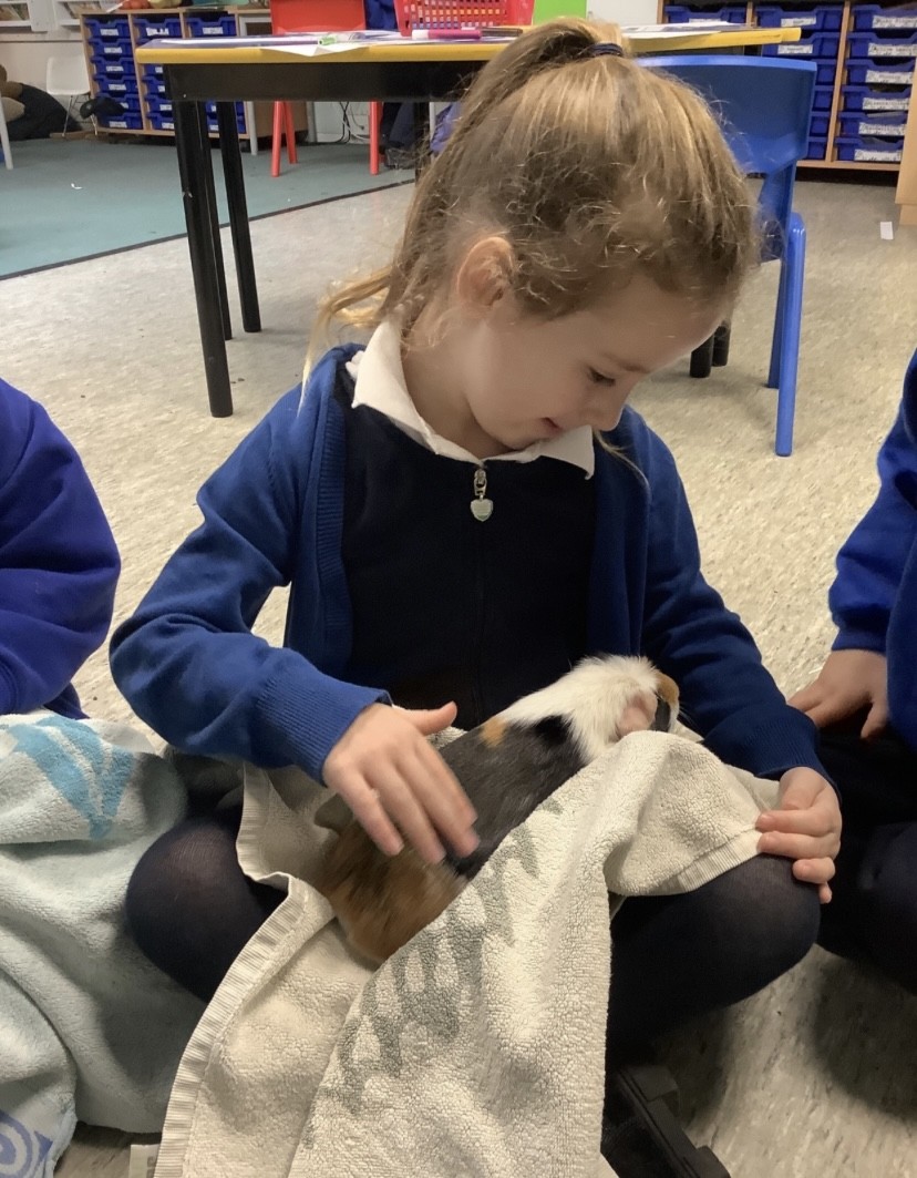 RA Butler Academy  tweet media