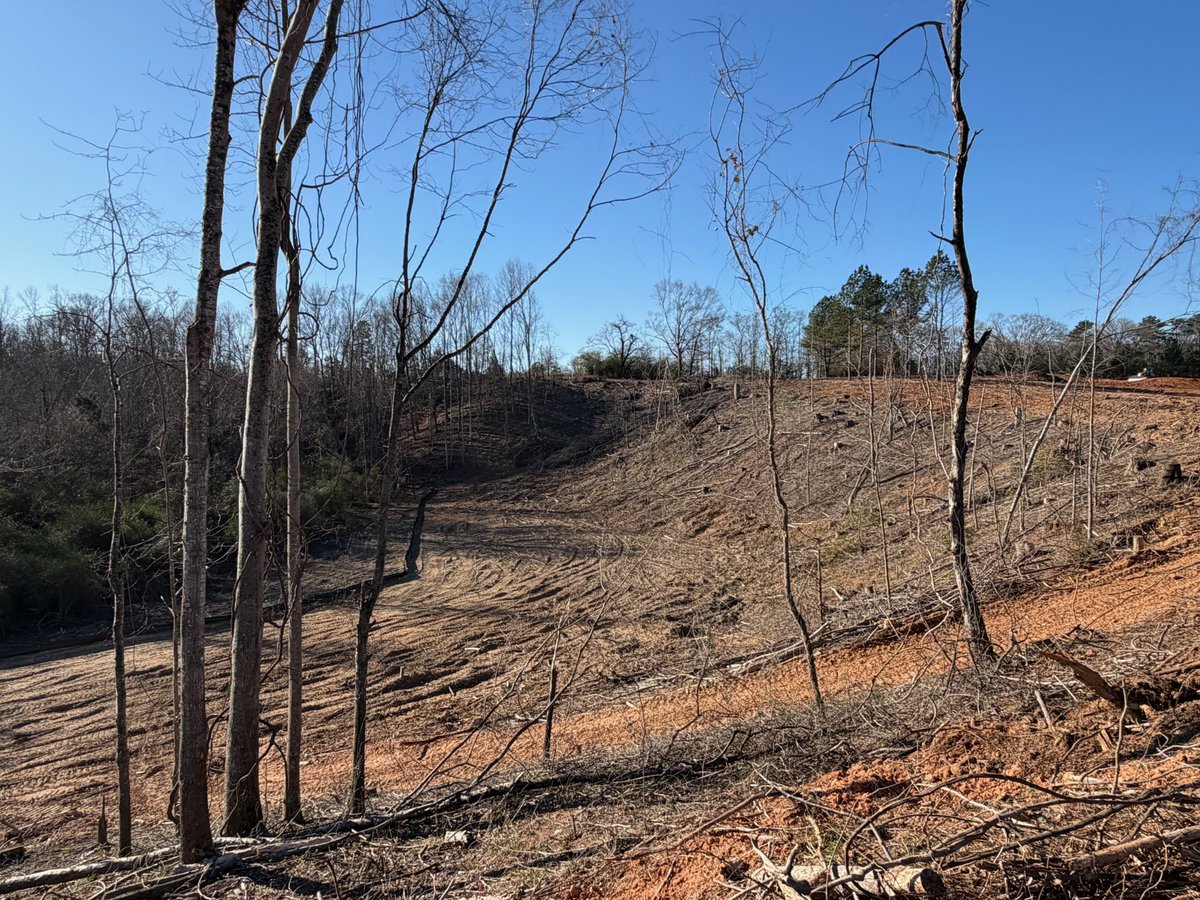 Total Turf Golf tweet media