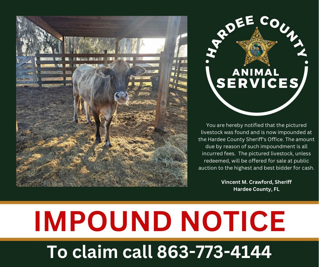 Hardee County Sheriff’s Office tweet media