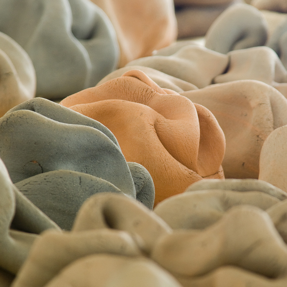 Peter Randall-Page tweet media