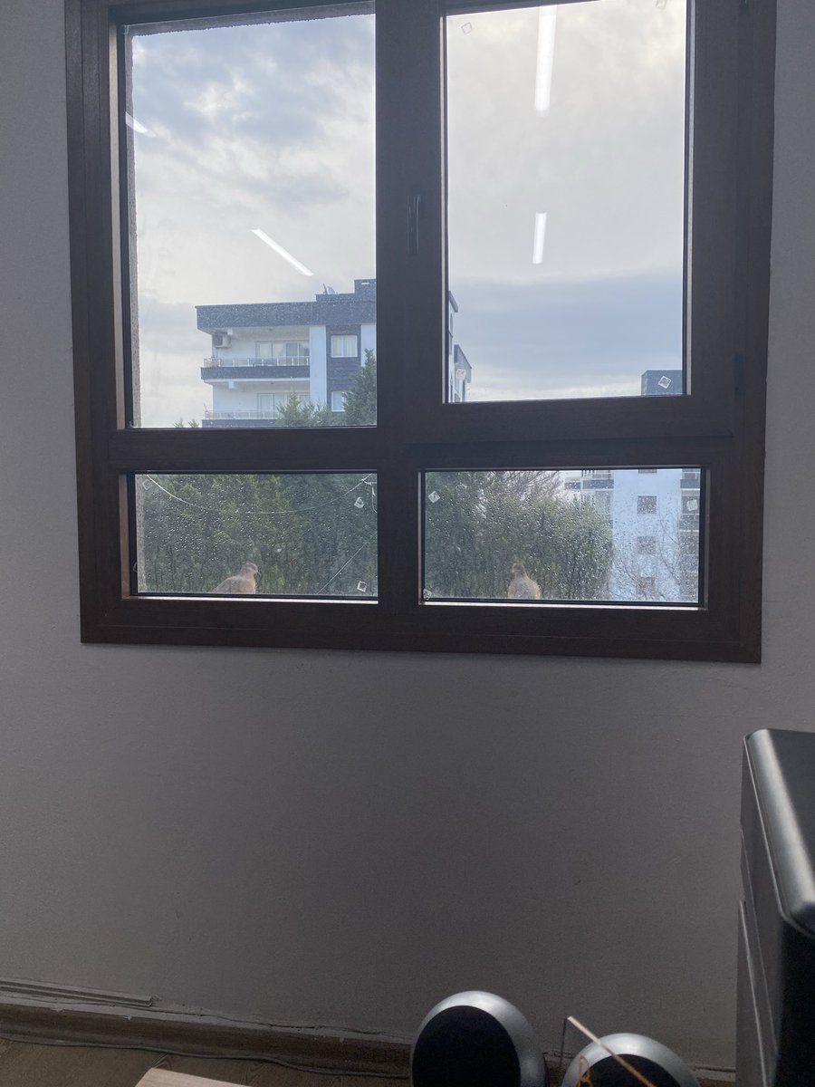 ilk defa anladım ki; paylaşabilmek için insanın simidinin olması yetmiyor, kuşlara da ihtiyaç var. 

Üstelik kimin kime teşekkür edeceği de belli değil.

//DOĞAN CÜCELOĞLU