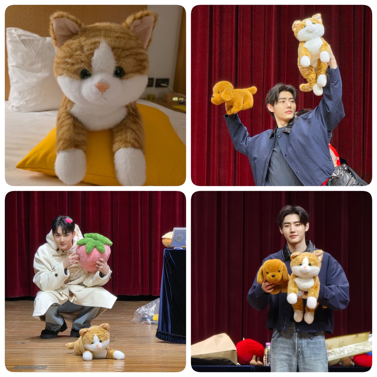 うちの🐈️猫ちゃん大活躍