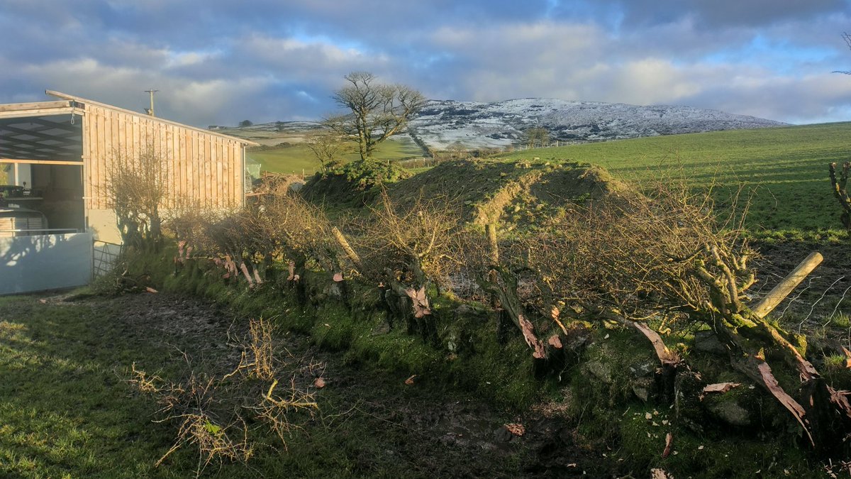 Joshua Moore tweet media