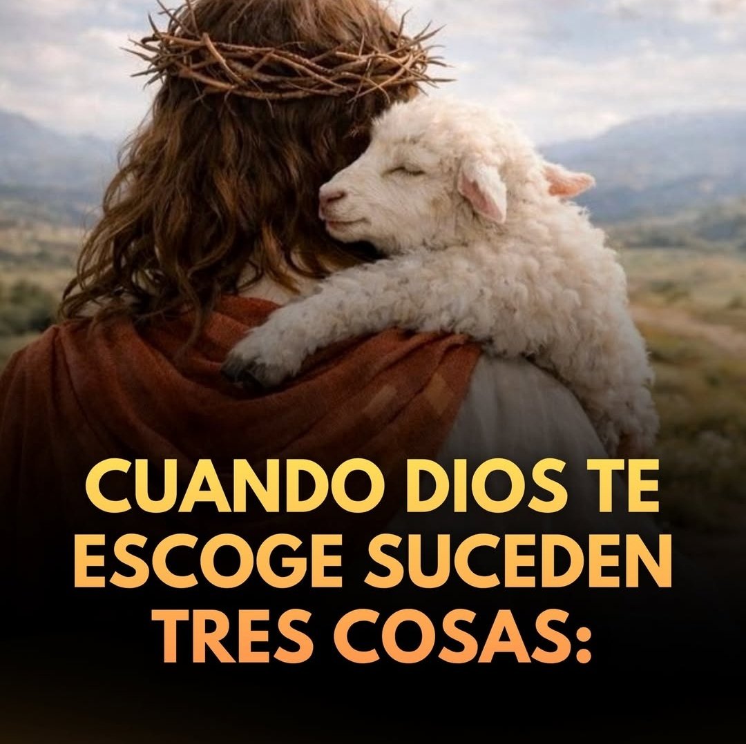 LuisAlbertoVF's tweet photo. https://t.co/nniGq62WUE