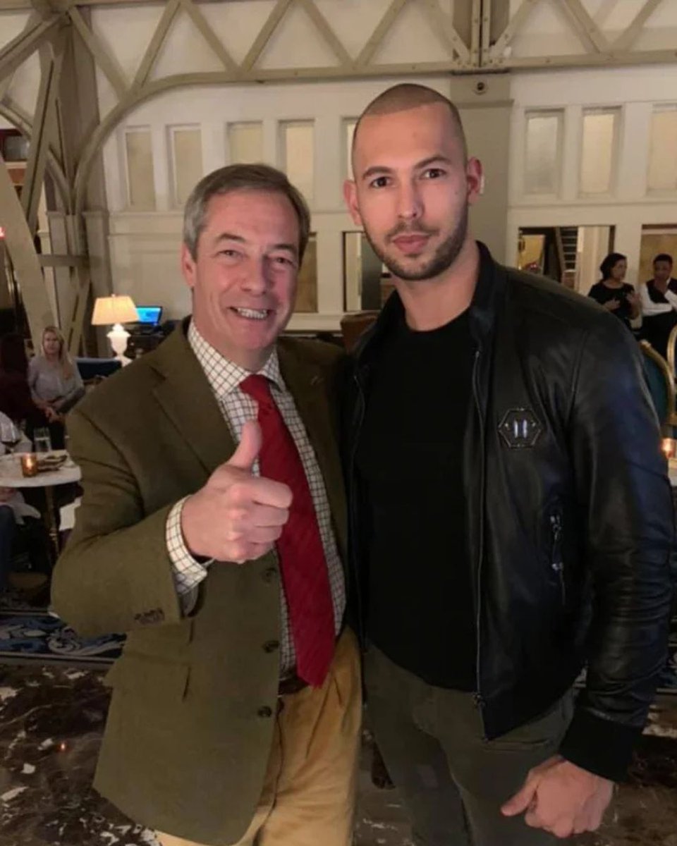 Mondo Trasho tweet media