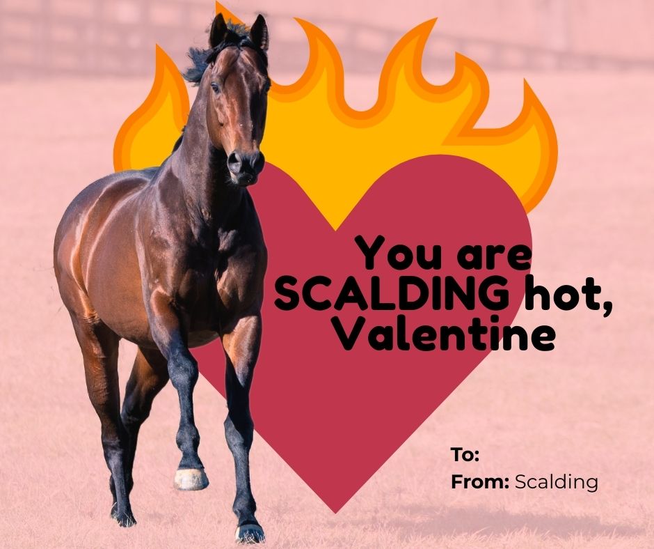 Pin Oak Stud tweet media