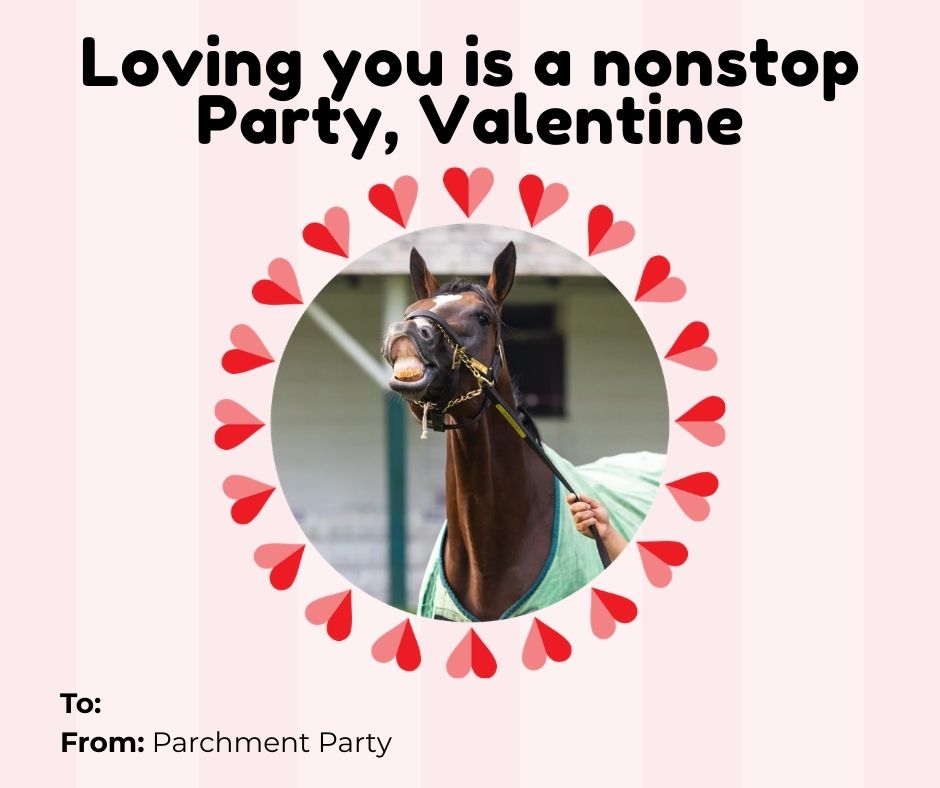 Pin Oak Stud tweet media