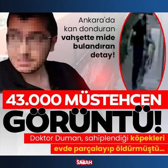 Yavru köpeklere tecavüz eden, kanlarıyla cinsel tatmin yaşayan, sonra da “keyif” için öldürüp babası ve arkadaşlarıyla görselleri paylaşan  #sapık “doktor” müsveddesinin 9 yıl 9 aylık cezası 4 yıl 4 aya düşürülmüş. Hukukçu değilim, detaylarla boğulmak da istemiyorum.