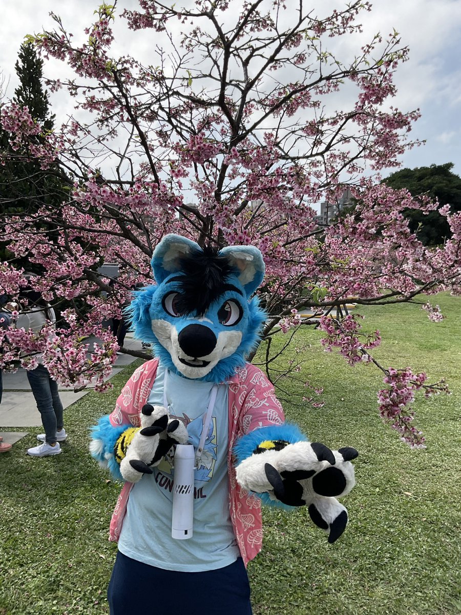 Contrail Aviator Folf ^^ ✈ COMMS (0/1)🔜 FurryMosa tweet media