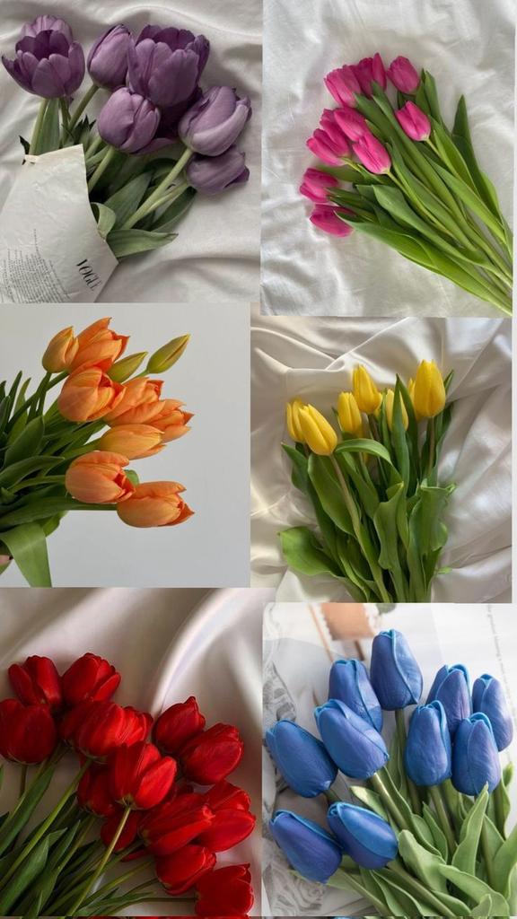 tulipslibrary's tweet photo. https://t.co/OUmT5dA3Ad