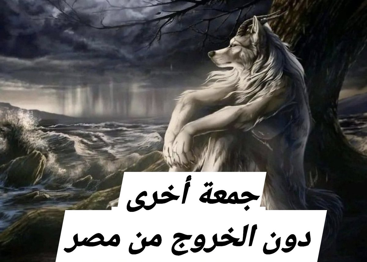 mahmoud nagy (@mahmodnagy) on Twitter photo 