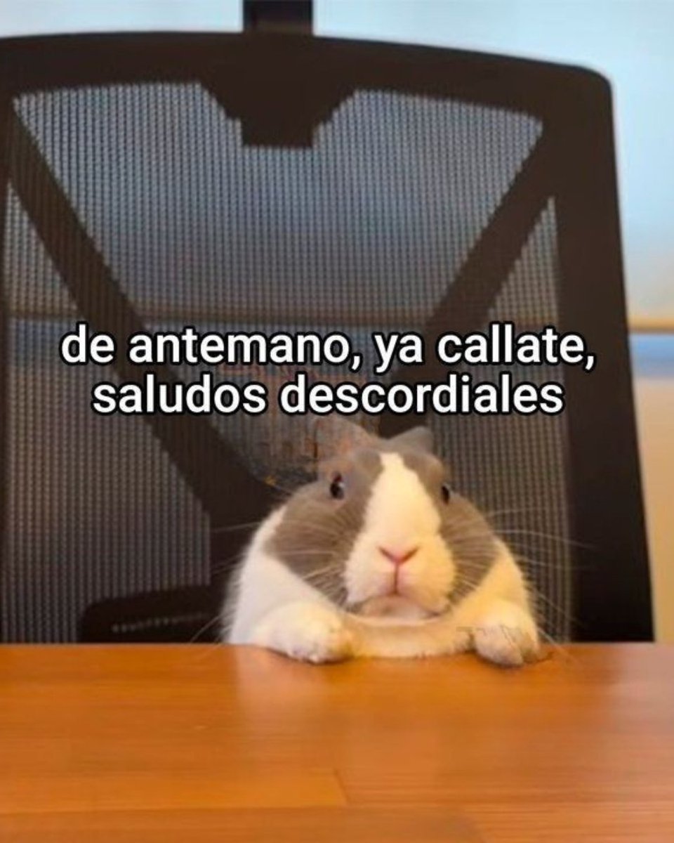 carlaconwifi's tweet image. muchas veces quisiéramos contestar así 😂