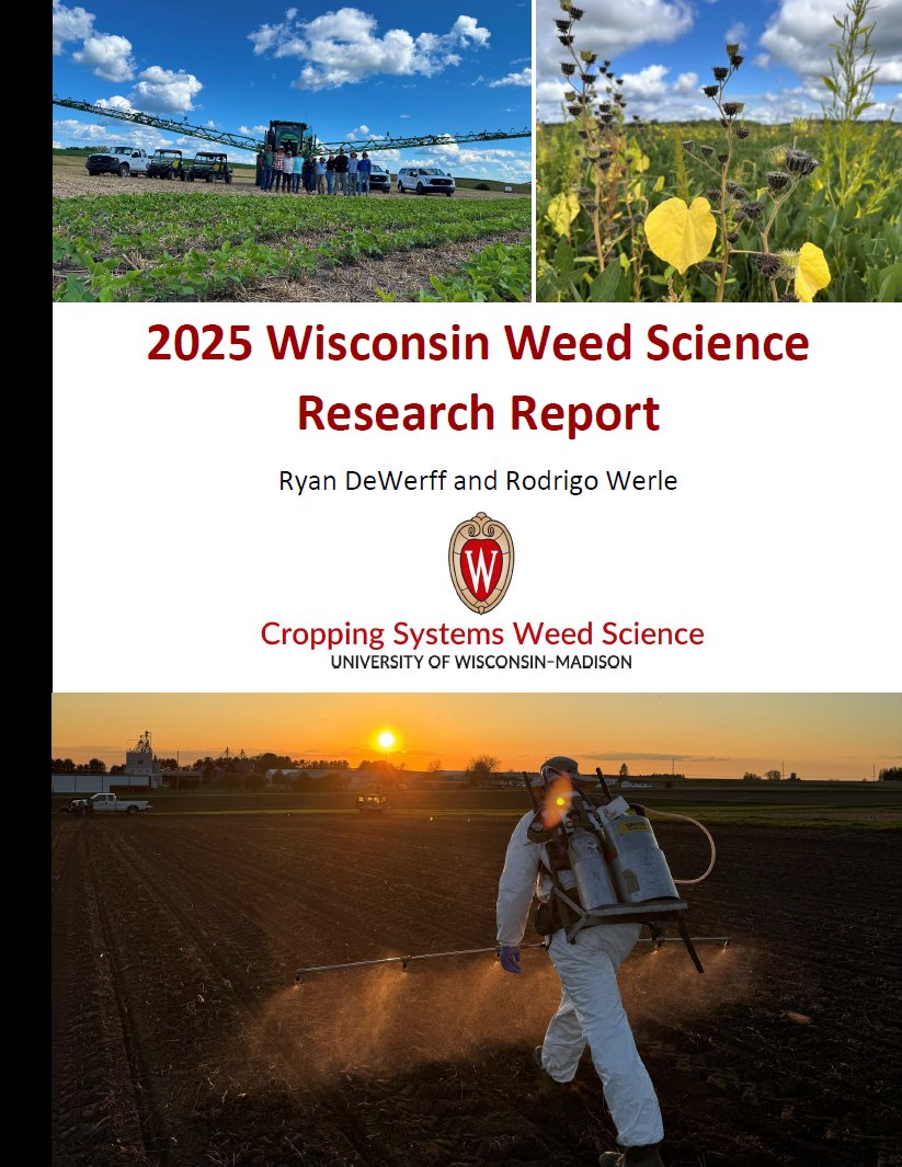 Rodrigo Werle tweet media