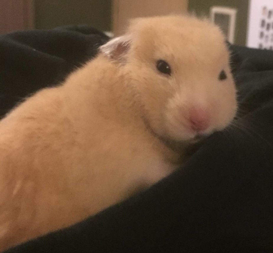 Cuando es viernes 13, pero tu vida es una desgracia todos los días.