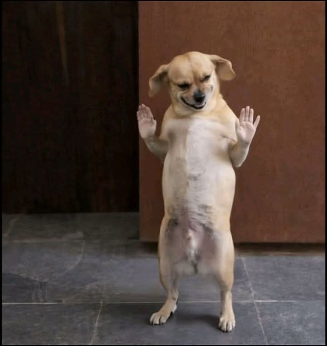 Even next year am not turning 27. DJ play ⏯️ me awipolopolo!! ✌️✌️😅😂