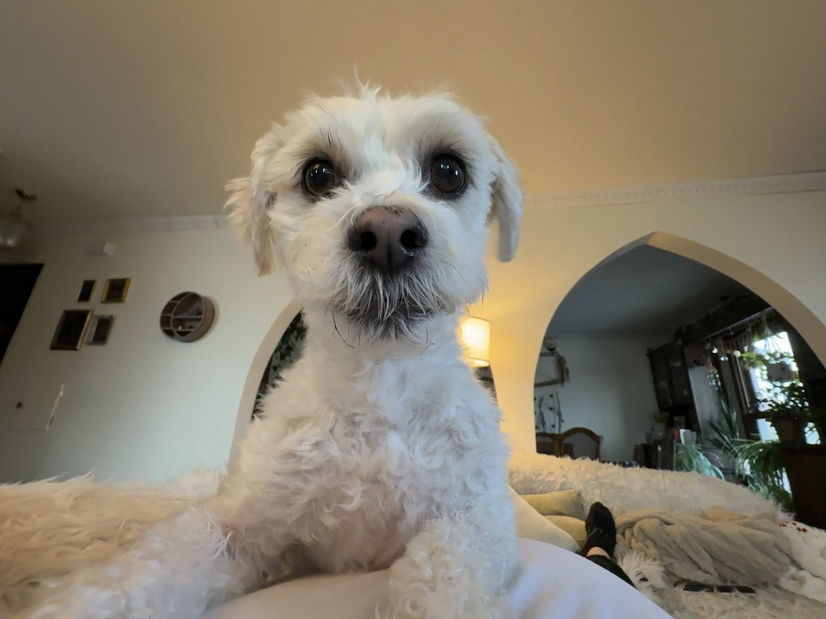 Rusty Jorgensen tweet media