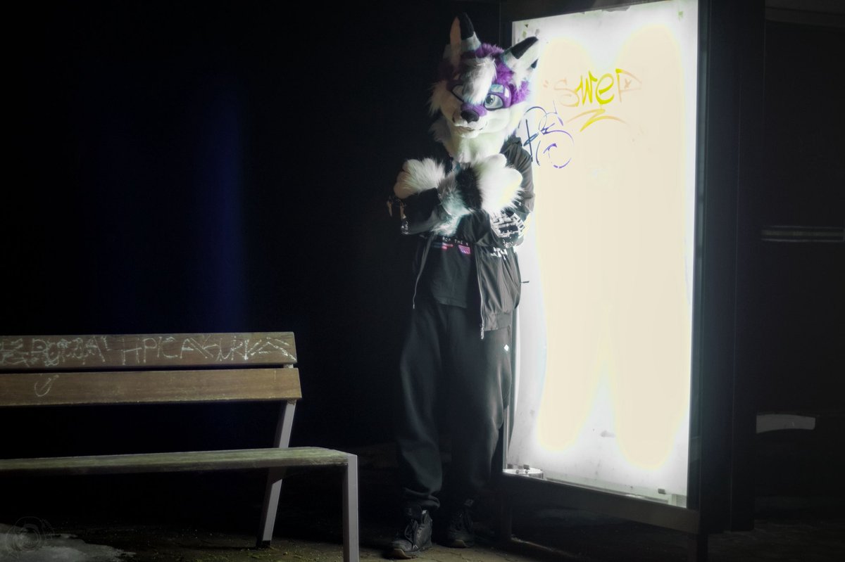 💜𝒟𝓊𝓅𝑒𝓇 𝒯𝒽𝑒 𝐹𝑜𝓍🩵 tweet media