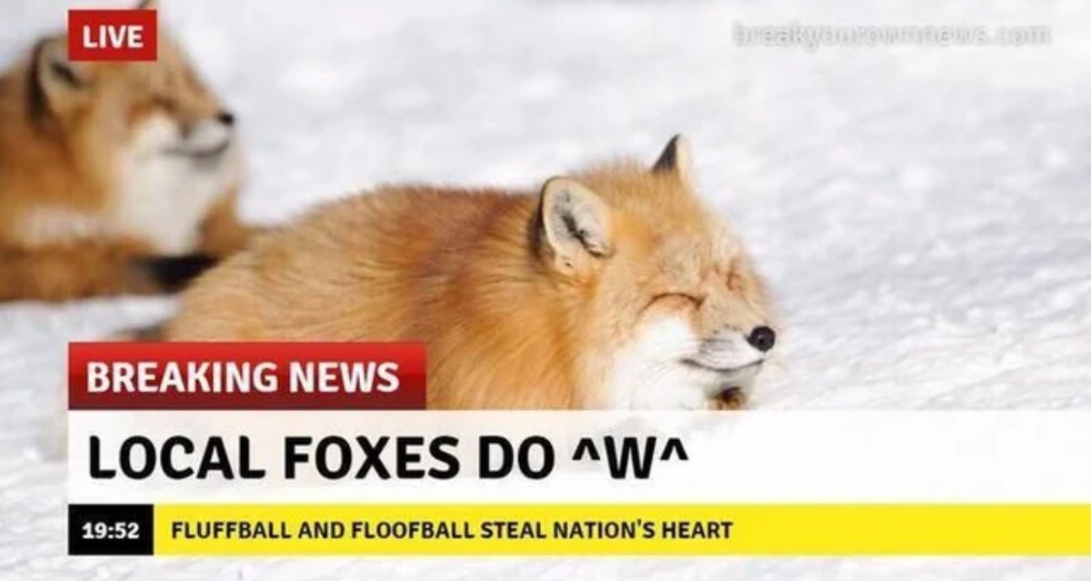 BREAKING NEWS 

^W^,  again