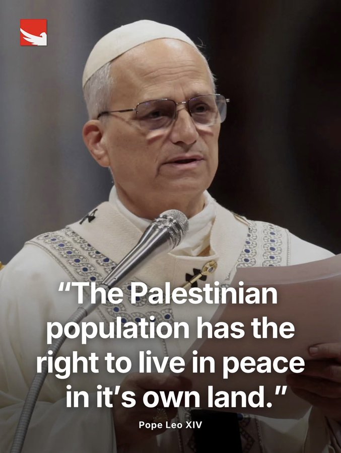 wimocean's tweet image. Décidément @FranceskAlbs est une femme d'un courage qui force l'admiration.
Il nous faut la soutenir la  protéger ! 

Divulguons sans cese les crimes d'#Israël qui tente actuellement de  coloniser le cher #Liban avec ses colons !
CA SUFFIT !
#FreePalestine
#StopGazaGenocide‌