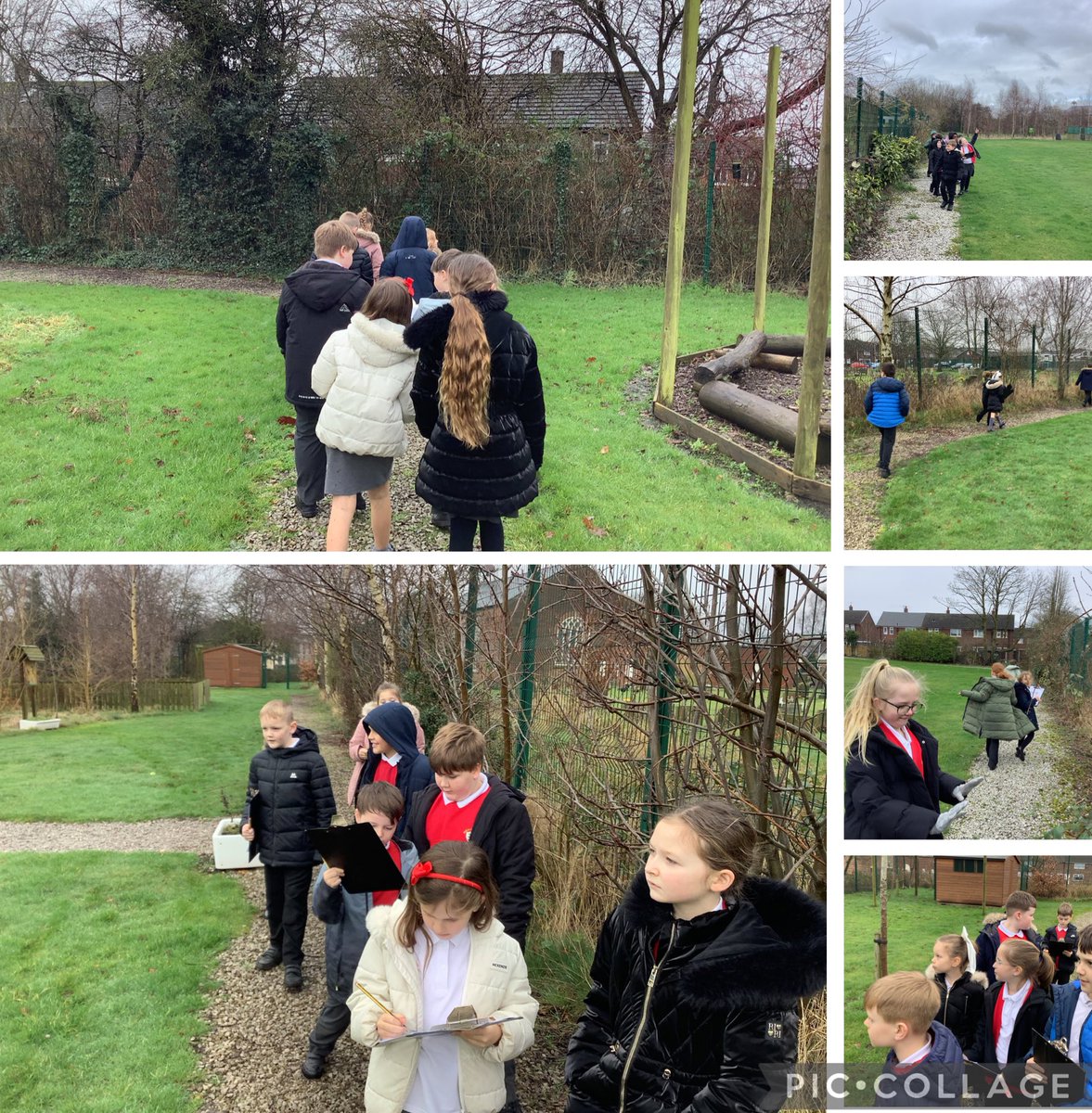 We have loved bird watching for the RSPB big school bird watch! 🐧🦆#BigSchoolBirdWatch