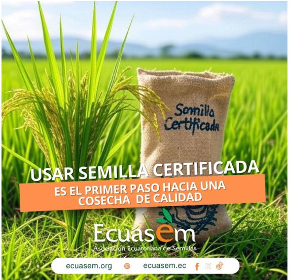 El Ministerio de Agricultura, Ganadería y Pesca implementó el uso obligatorio de marbete seguro para 14 semillas en Ecuador.

elperiodicodelecuador.com/el-ministerio-…

#Ecuador 
#MinisteriodeAgricultura