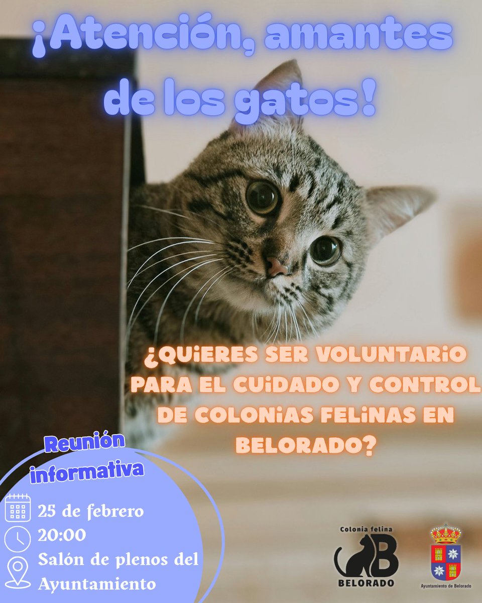 📢😻 ¡Convocamos una reunión para aquellos que quieran echar una patita! 🐾

Si te gustan los gatos y quieres colaborar en el cuidado y control de las colonias felinas en #Belorado, esta es tu oportunidad 🐈🐈‍⬛

📆 25 de febrero
🕐 20:00
📍 Salón de plenos del Ayto de Belorado