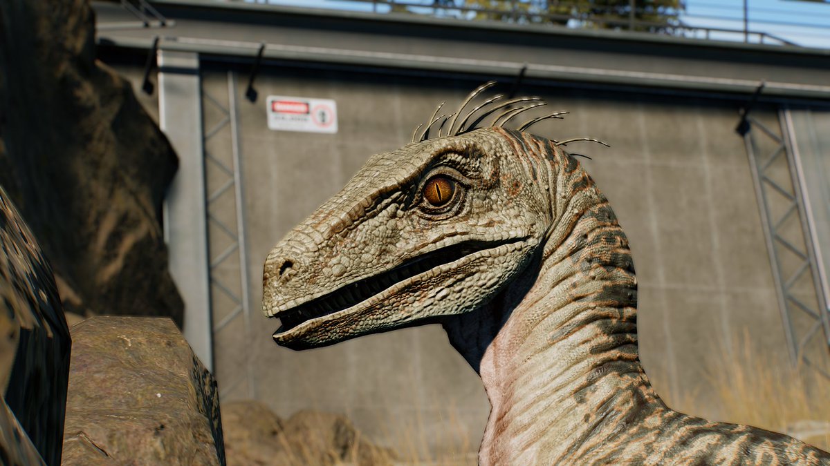 Cesar Creates tweet media