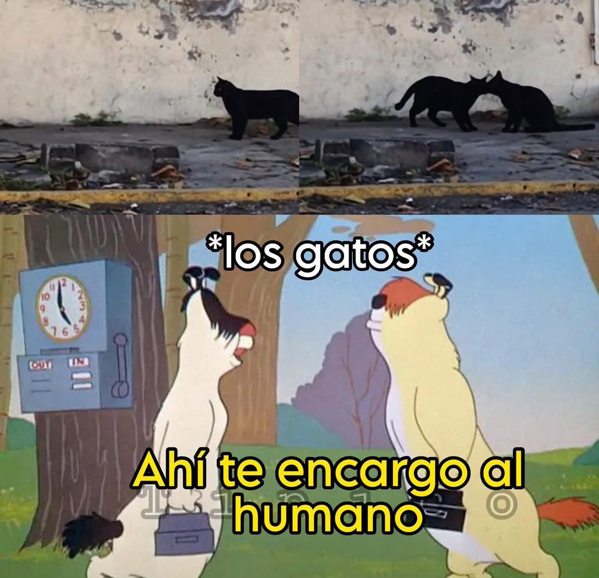 Un chico contó en tiktok que algo muy raro estaba pasando con su gato… 😳

Cada vez que regresaba a casa, “su gato” salía corriendo.
Pero no como quien va a saludar…
Más bien como quien huye.
Como si lo hubieran descubierto en algo.

La espinita no lo dejó tranquilo.
Así que