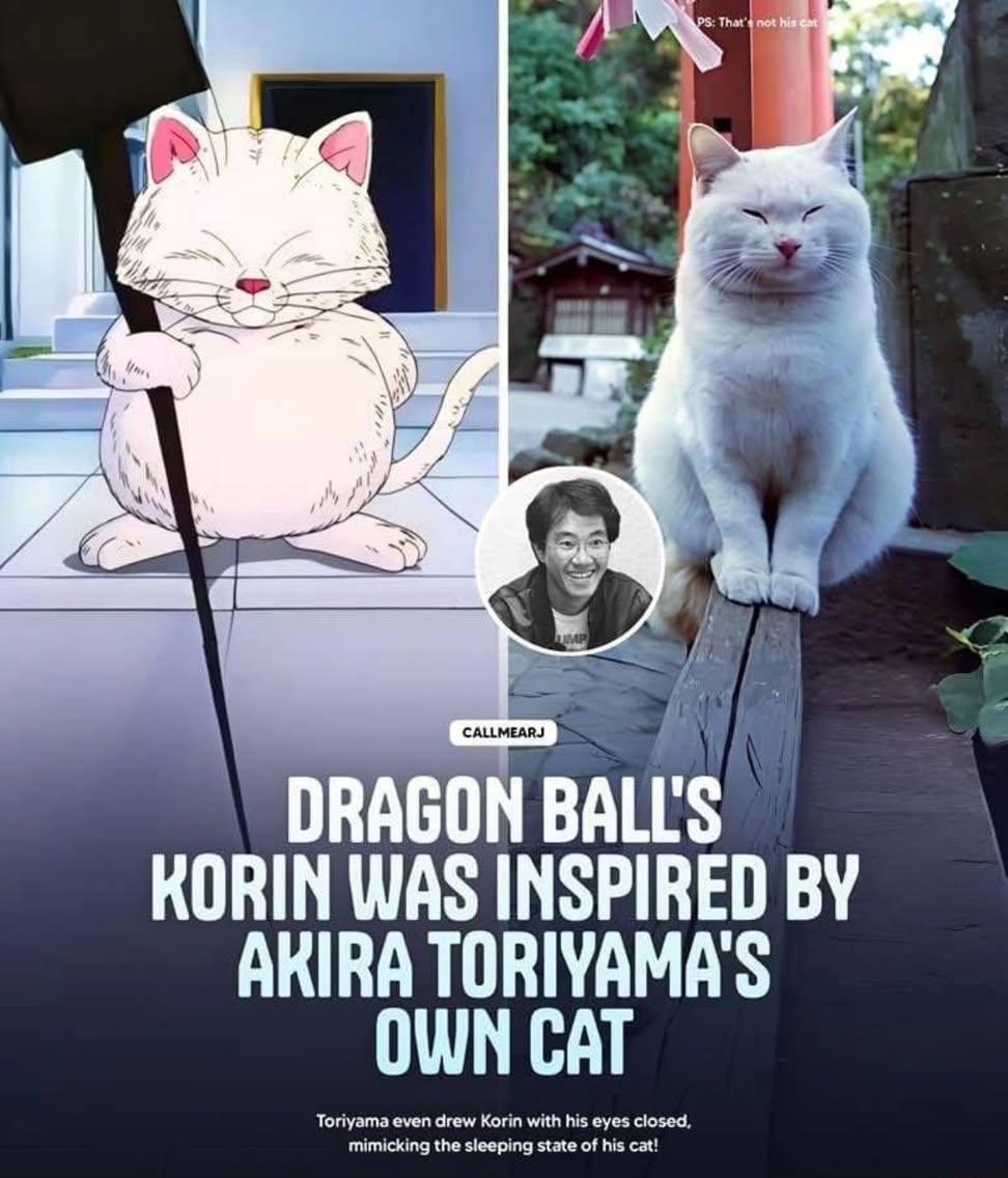 Wholesome Side of 𝕏 (@itsme_urstruly) on Twitter photo 