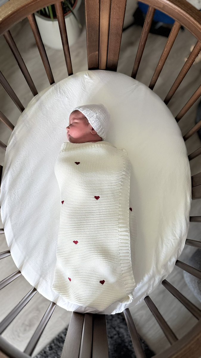 david f ross tweet media