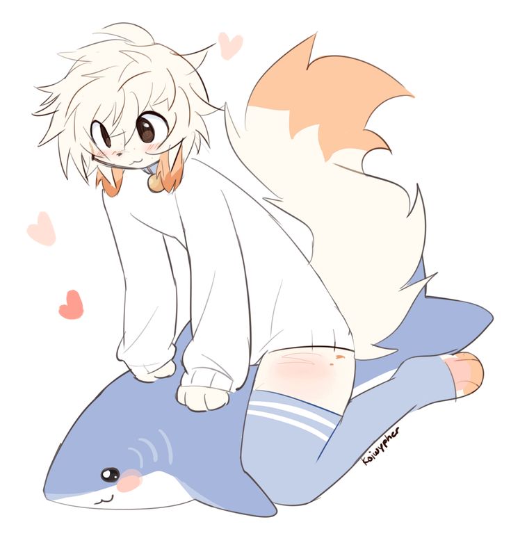 Kumie :3 | Femboy/Catboy tweet media