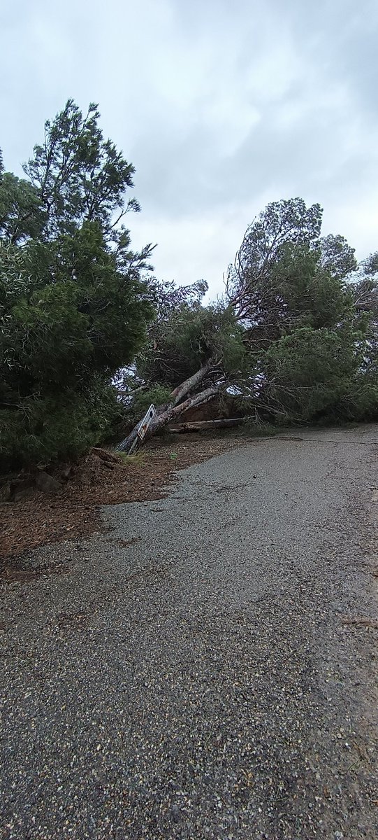 Piclacouette's tweet image. #Homps #tempête Lac de Jouarres #Nils