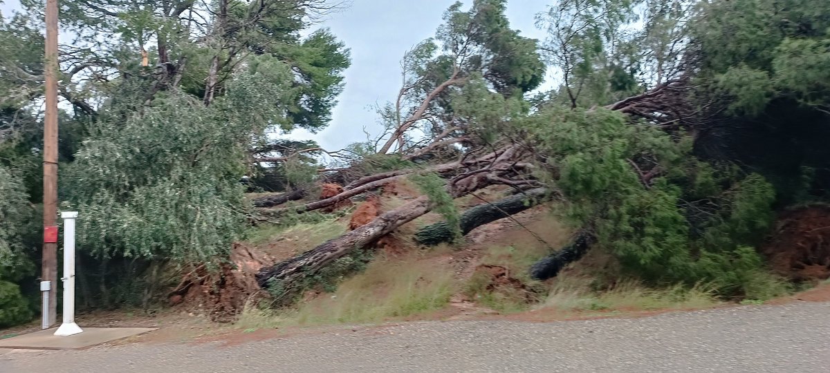 Piclacouette's tweet image. #Homps #tempête Lac de Jouarres #Nils