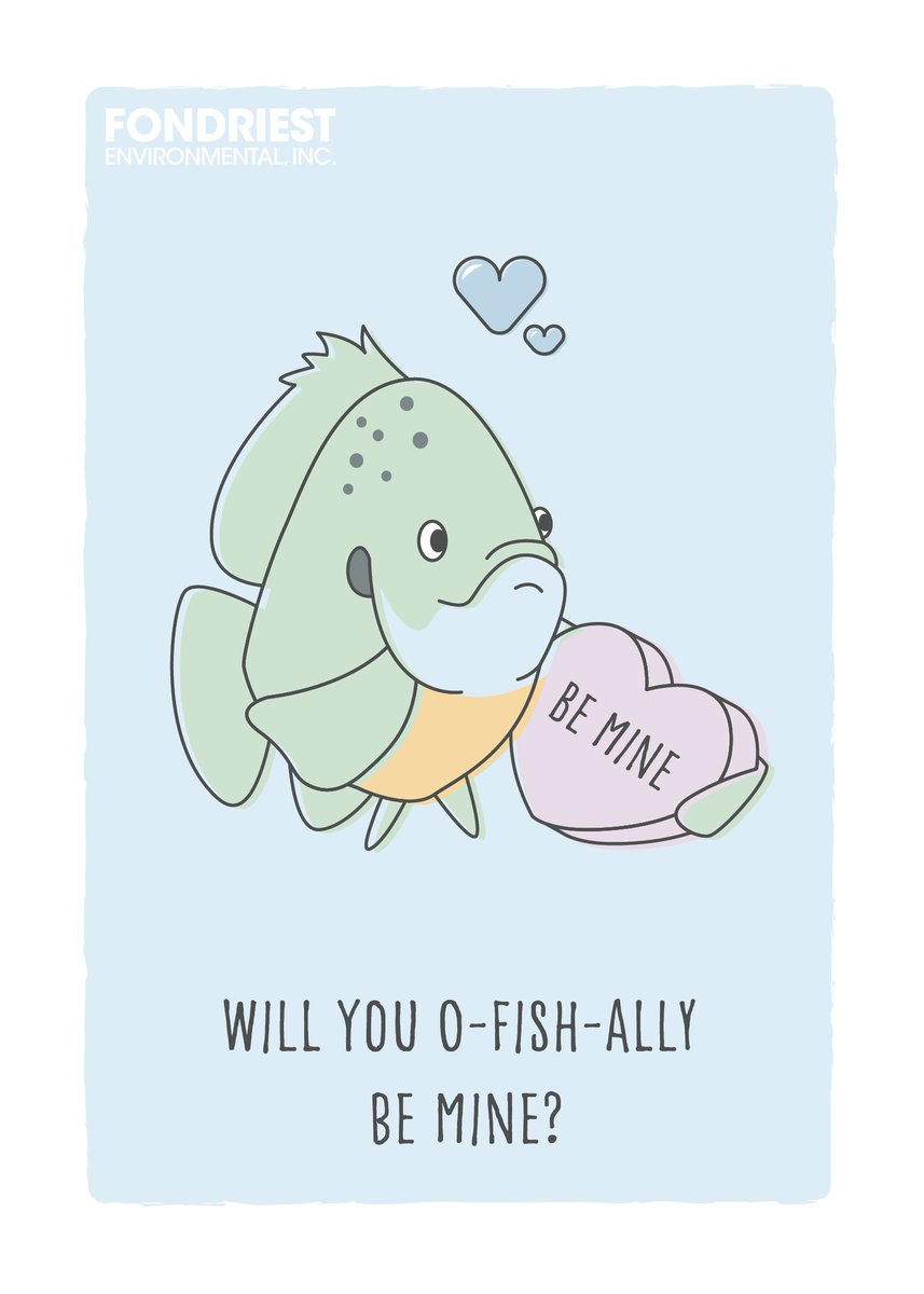 FishSens Magazine tweet media