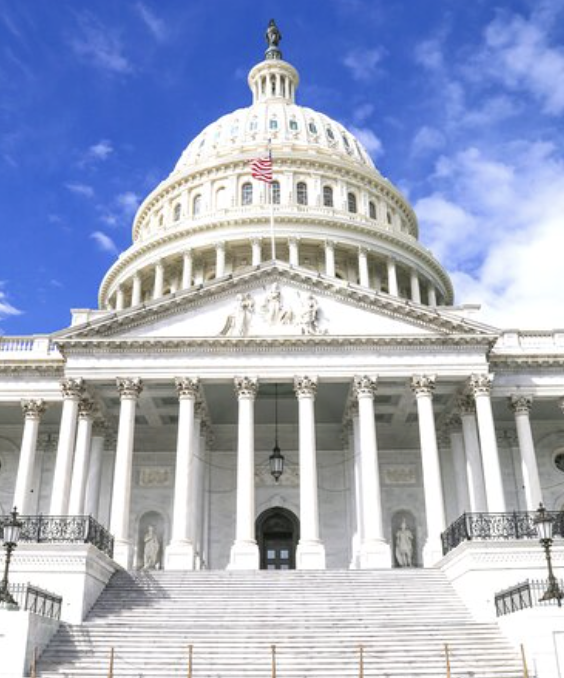 Coin Bureau tweet media