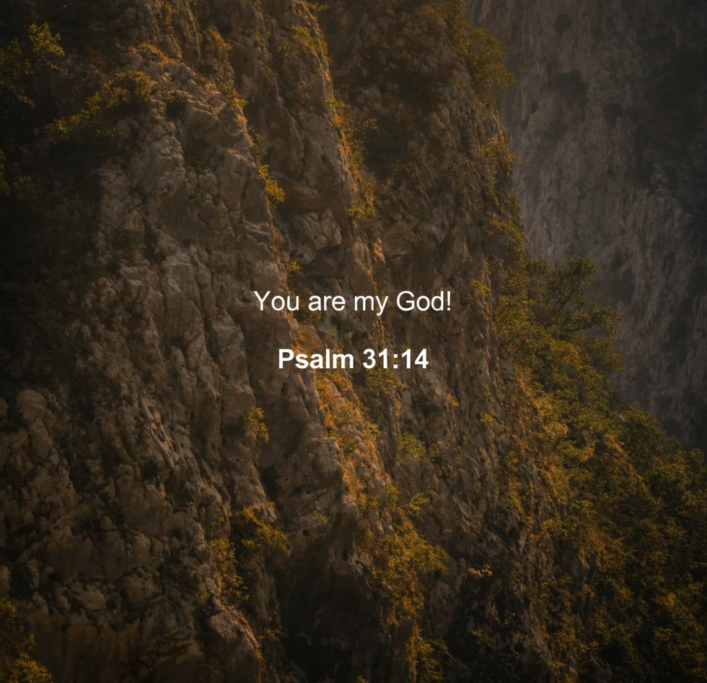 The__Bible7's tweet photo. Psalm 31:14 https://t.co/Ie2npwcb7l