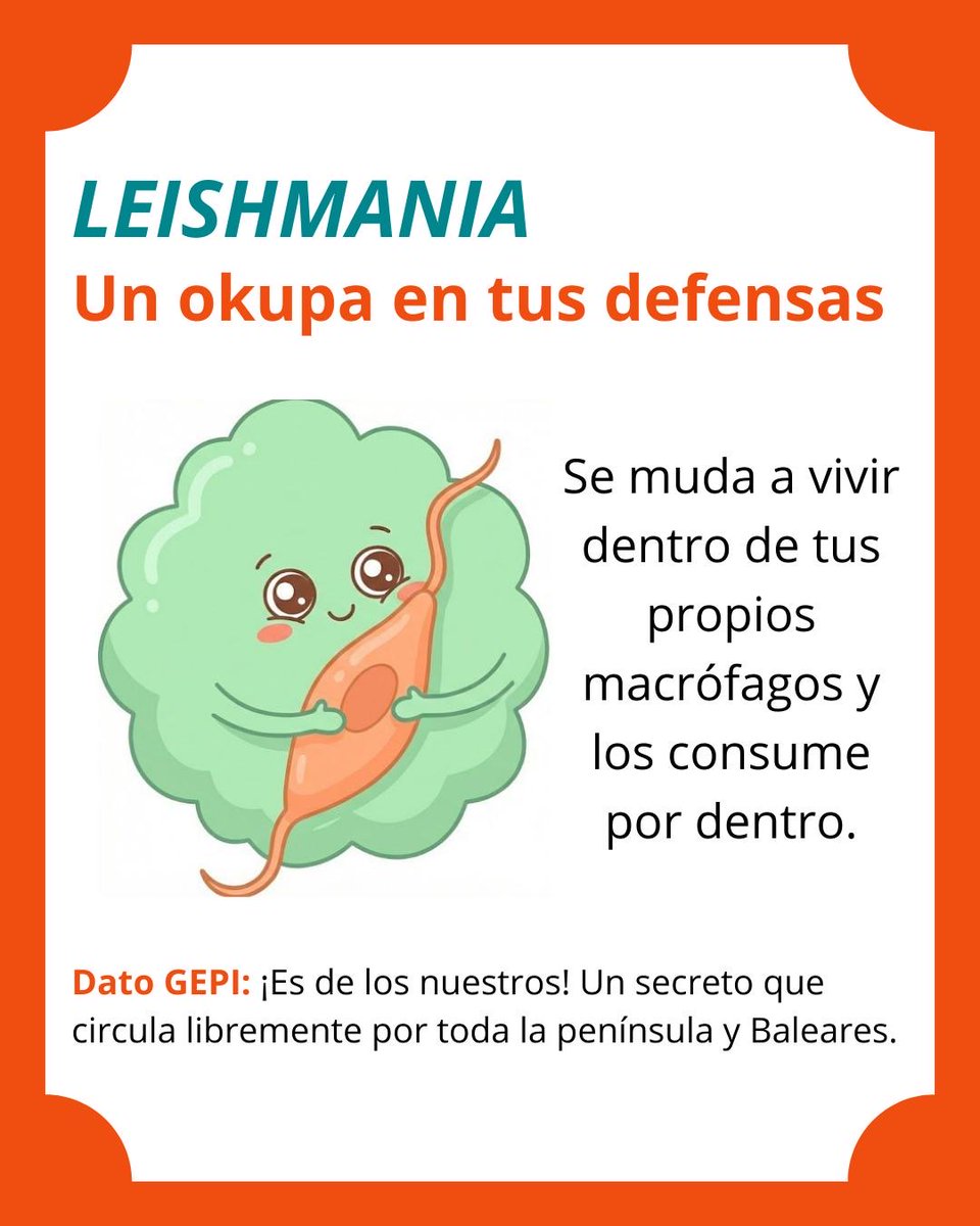 GEPI SEIMC tweet media