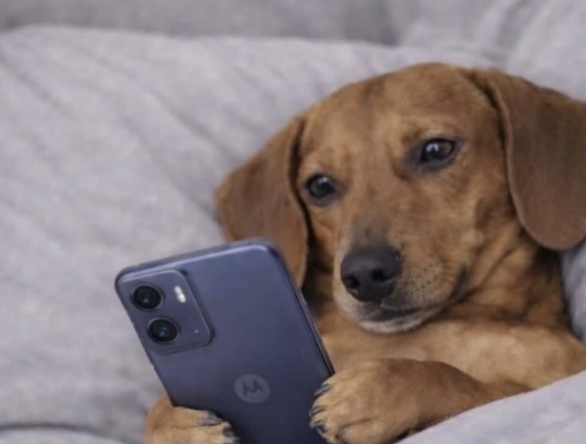 Yo viendo autos Ferrari de 2 millones de dólares diciendo…No se, No me convence el interior.