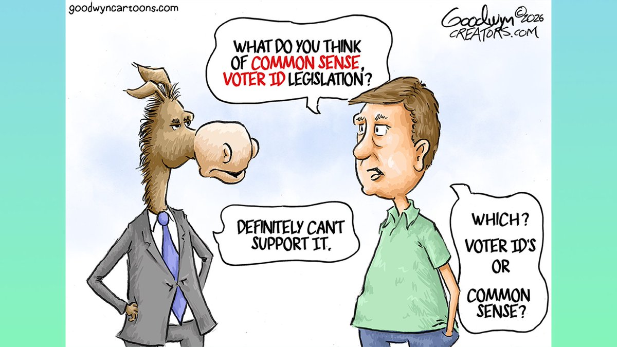 Intrepid Bee (@andhives) on Twitter photo 