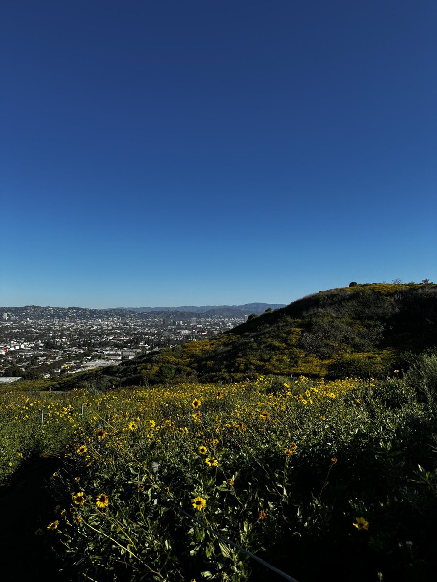 Drew Curry (@drewcurryx) on Twitter photo 