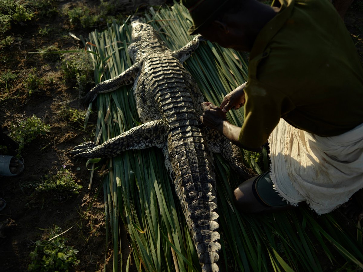 joeyL.eth tweet media