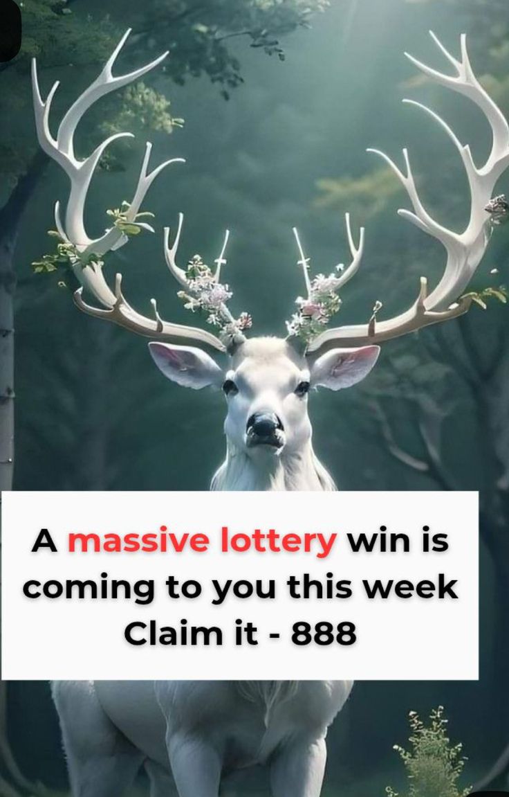 Law_of_attraction tweet media