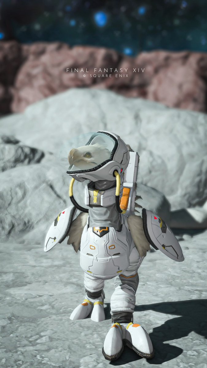 やったー!!!　チョコボの当たった！
可愛い〜!!!!