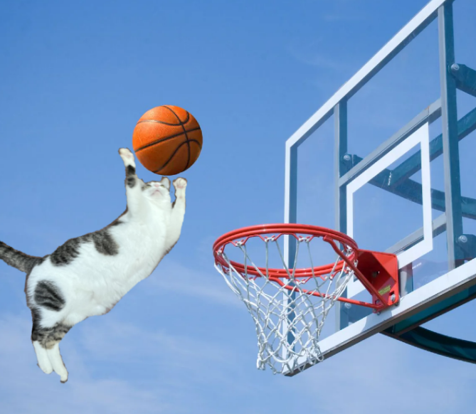 trackingvoid tweet media