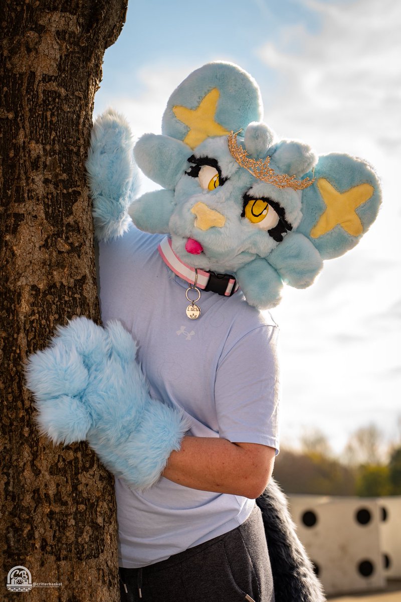 Meow!!! A wild princess spots you from across the field!!

My first #FursuitFriday post!
📸 by <a href="/CritterBasket/">The Critter Basket ➡️ BSKY</a>